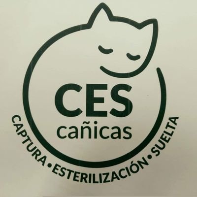 Somos un grupo de voluntarios que nos dedicamos al método CES (Captura- Esterilización-Suelta) en nuestro barrio. Actualmente llevamos 4 colonias felinas.