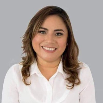 Diputada local electa por el distrito XIII.