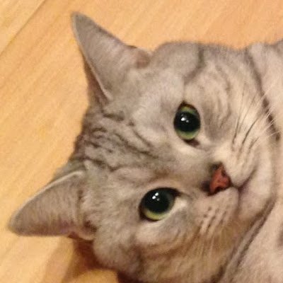 TDChen5's profile picture. 