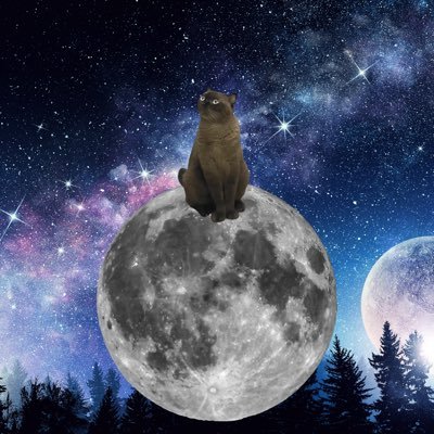 aewaodaod's profile picture. 🐈🎧🤸🏻‍♀️