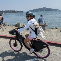 Chloe Zhu (@chloez_chloez) 's Twitter Profile