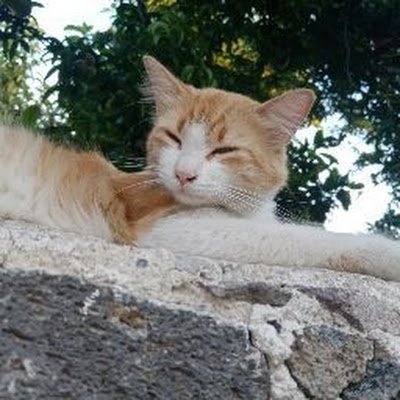 707hernandez2's profile picture. 