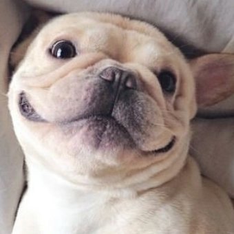 Hapiness881's profile picture. Berbahagialah tanpa merepotkan orang lain.