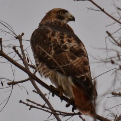 GillianJeffery5's profile picture. 