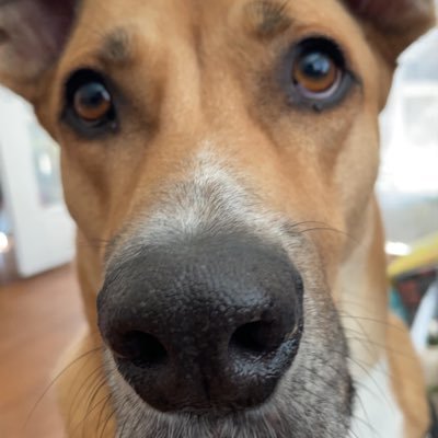 kevin1jiang2's profile picture.