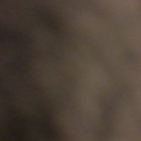 Arina Kruithof (@arinakruithof) 's Twitter Profile