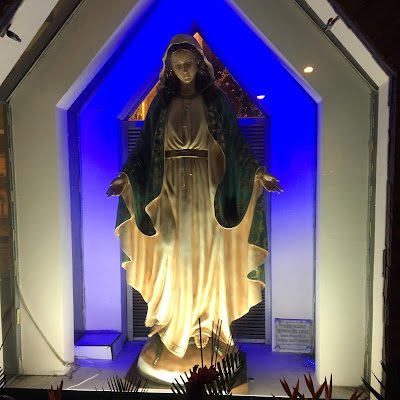 IleanaG60642737's profile picture. 