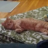 Big Burrito (@bigburr76242449) 's Twitter Profile