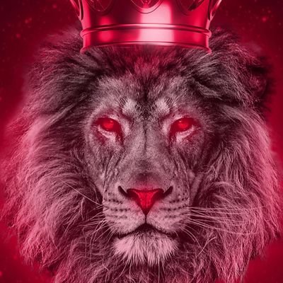 fFUXhXEe8qkTDTh's profile picture. ‏يارب