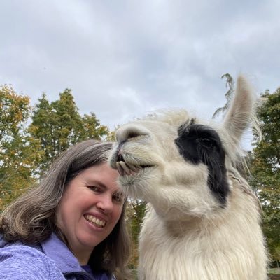 Welcome to our farm! we breed classic llamas and enjoy doing a lot of activities with our llamas! check out our YouTube channel and Etsy shop as well.