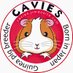 モルモットブリーダー 販売 CAVIES (@cavies_japan) Twitter profile photo モルモットブリーダー 販売 CAVIES (@cavies_japan) Twitter profile photo