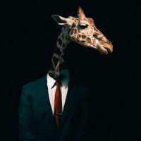 ᴄʀʏᴘᴛᴏᴜF (@cryptouf) 's Twitter Profile Photo ᴄʀʏᴘᴛᴏᴜF (@cryptouf) 's Twitter Profile Photo