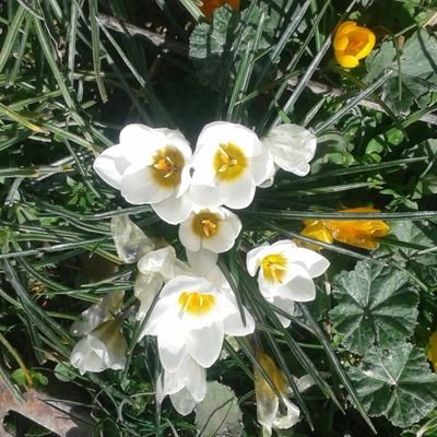 Efsane103158948's profile picture. 