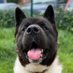 Lloyd Gofton (@lloyd_gofton) Twitter profile photo Lloyd Gofton (@lloyd_gofton) Twitter profile photo