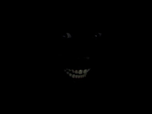 I'm ME....I do my own stunts....BTW, if you retweet me i usually add you, please return the favor