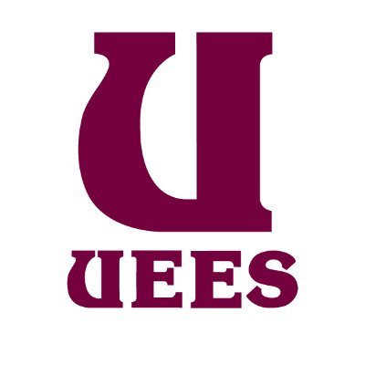 uees_online Profile Picture