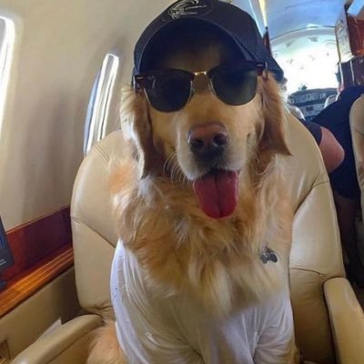 primarystorage_'s profile picture. solving real-world problems through financial innovations.