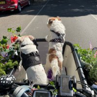 Fiona Campbell (@fionabike) 's Twitter Profile Photo