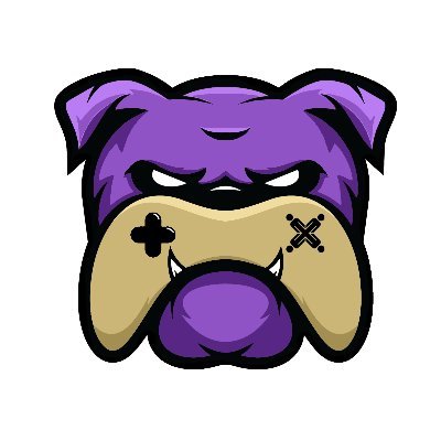 Official Twitter account for JMU Esports (powered by @jmuxlabs) https://t.co/m2EiJUI62T for other socials and twitch link.