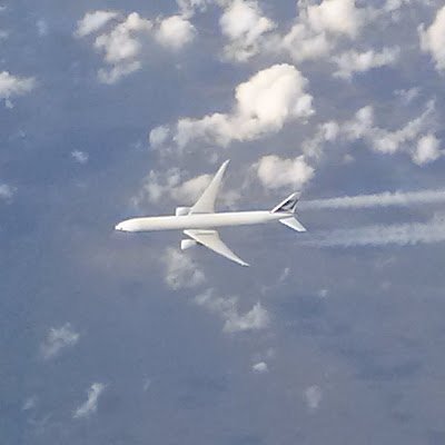 XOGUS13208810's profile picture. 