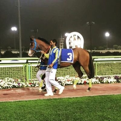 ah9adah9ad's profile picture. 