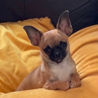 lindseyj2021's profile picture. 