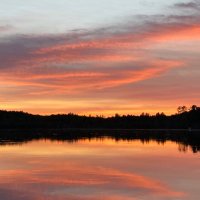 DP (@dprob51) 's Twitter Profile