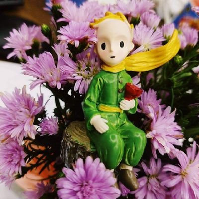 ananvanvan11's profile picture. Pé mập