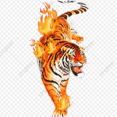 WolfOfDarkens's profile picture. اذا لم تكن كاتبا تفيد غيرك فكن قارئا تفيد تفسك Tufts University -Boston M,A USA