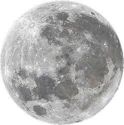 askm95's profile picture. Nice and easy going