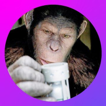 Retarded Ape @SynapseProtocol

Squirrels are always up to something