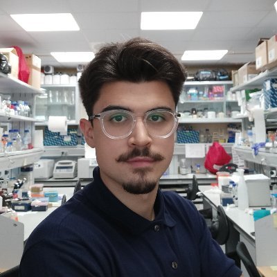 casado_navarro's profile picture. 