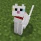maisa_cat77777's profile picture. 