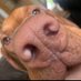 George Elvin (@georgeelvin1) Twitter profile photo George Elvin (@georgeelvin1) Twitter profile photo