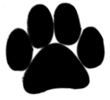 KepaHelpAnimals Profile Picture
