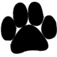 DzAB Ķepu - ķepā (@kepahelpanimals) 's Twitter Profile