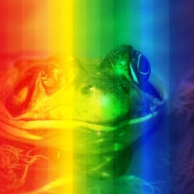 JMLCNYC's profile picture. Political Arguer. #MSNBC. Bullfrog marries, his mother-in-law. Also: #BidenHarris2024 More #Democracy & #FuckTrump 🇺🇸