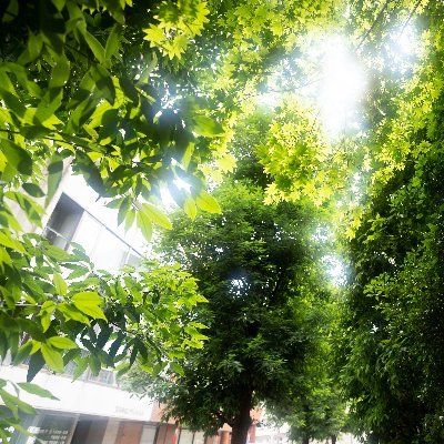 omochixyzw's profile picture. 21/8 M社ワク接種後体調不良
EAT療法+亜鉛で改善
22/2復職

23/10ぶり返すがカリウムで改善

30代父親 
Hardware Engineer

📓note：https://t.co/4vdlWX2e0R
⚠ノウハウはメディア欄にて