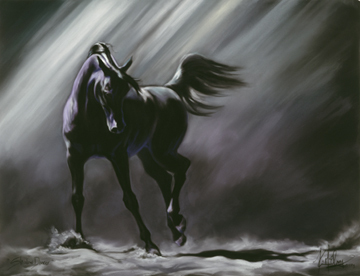 “I lurk in the shadows, a place where the darkness and the light coincide.”.... Writer/RPer. Horse lover.