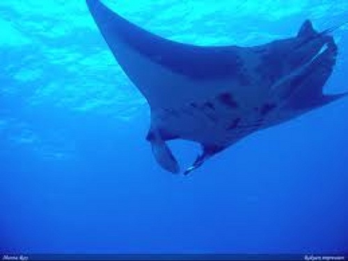 K_1973's profile picture. キスから始まる気持ちいいこと、を考えて心を開放している♂です。