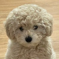 ์๋ฃจ๐พ (@sirutheworld) 's Twitter Profile Photo ์๋ฃจ๐พ (@sirutheworld) 's Twitter Profile Photo