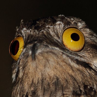 n176053's profile picture. Can I follow you again?