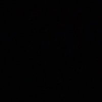 P (@peezy) 's Twitter Profile