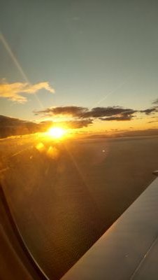 urukiraonsen5's profile picture. 新日本プロレスの選手によるトレーニング指導をオンラインで受けられるThe Third Generation Club（TTGC）の地方会員のつぶやき