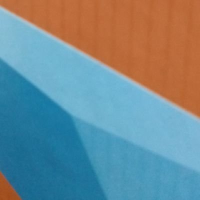 Irwog13's profile picture. 🦝🦄🏵️🌼