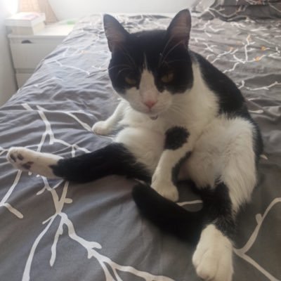 MariaDelMal_'s profile picture. Time waits for no one