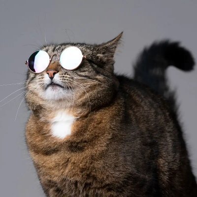 Brickbuilderr's profile picture. Don't try to shill me your NFT's
Move along :)
#ETH