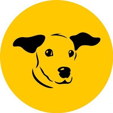 DogsTrust West Calder (Edinburgh)さんのプロフィール画像