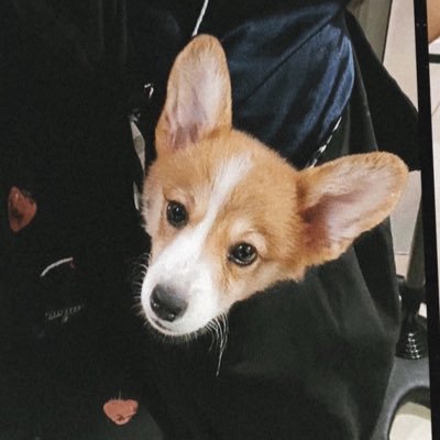 DioscoLEA_alata's profile picture. And though she was awake, her thoughts belonged to her dreams.✨