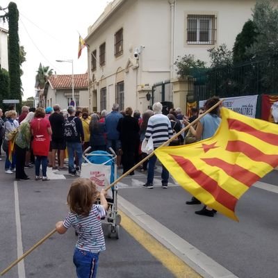 MMajoral's profile picture. 